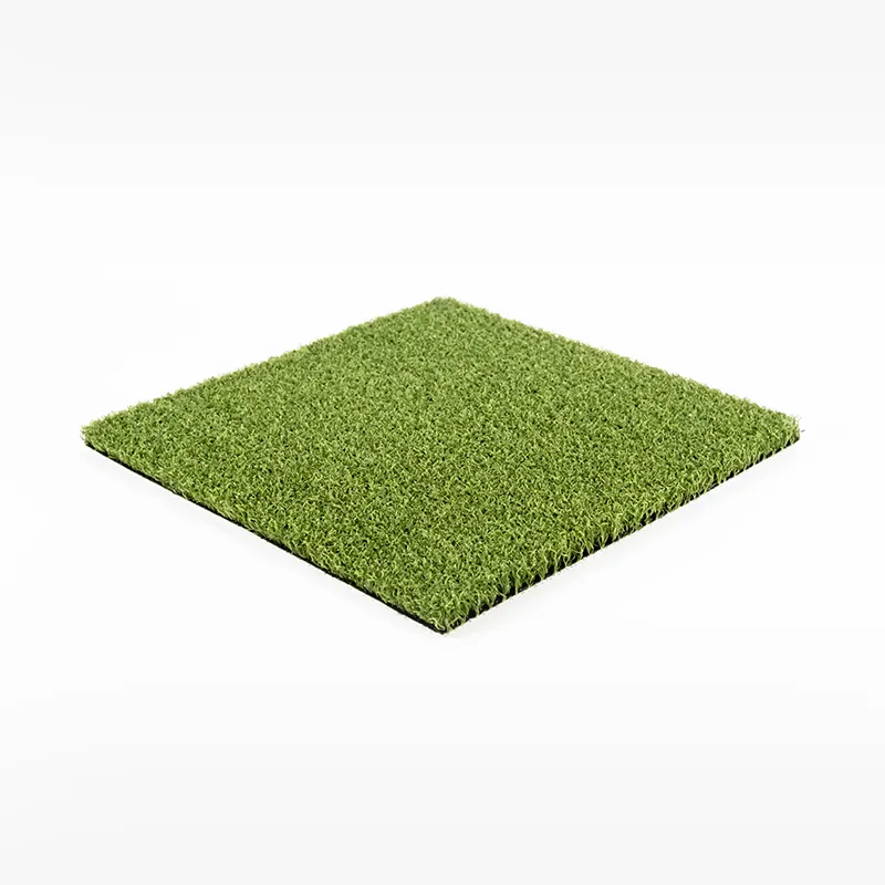 Dynamic Putt photo