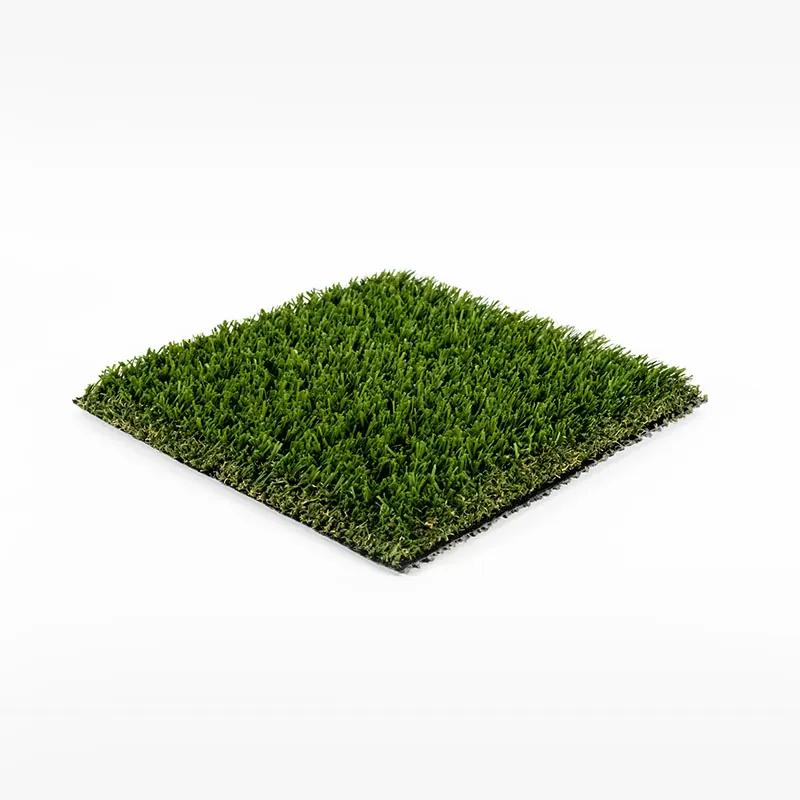 Eco 72 photo